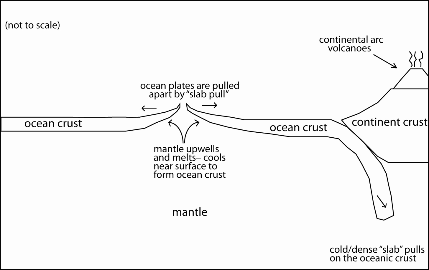 If The Sea Floor Is Spreading And The Oceanic Plates Are